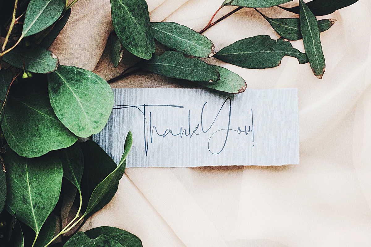 Anjany Sallentiny - Handwritten Font, a Script Font by StringLabs (Photo 10 of 10)