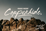 Copperhide - Brush Font, a Handwritten Font by ErgibiStudio (Thumbnail 1 of 10)