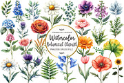 Vintage Botanical Clipart, an Illustration by OK Design (Thumbnail 1 of 5)