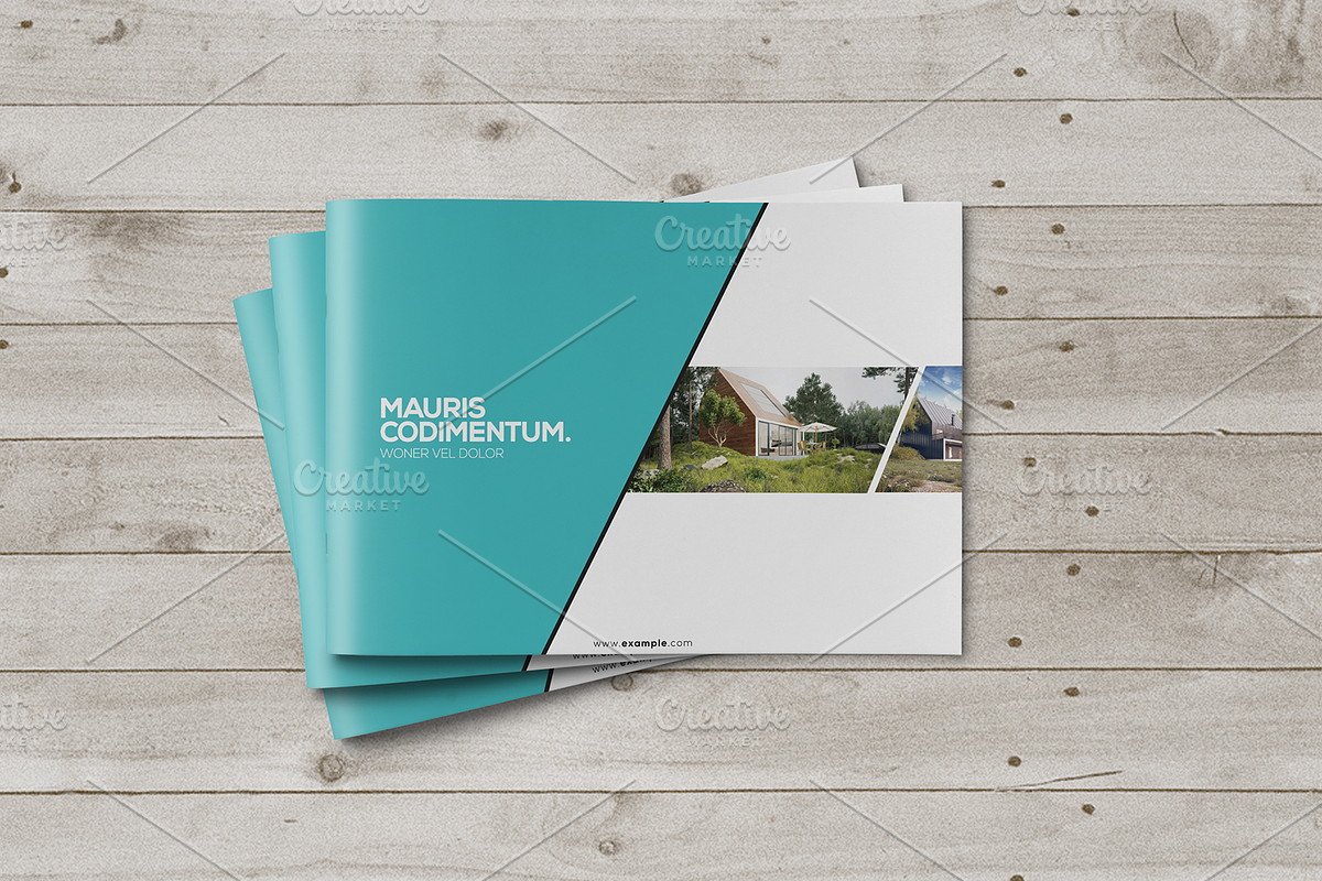 Multipurpose Brochure Template, a Brochure Template by ShapShapy (Photo 3 of 15)