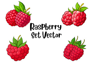 Raspberry Set Vector, a Food Illustration by Awieee1