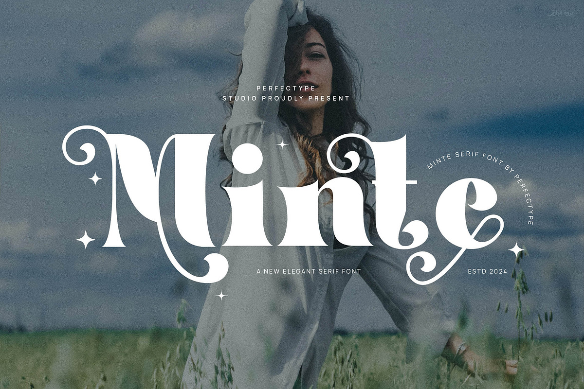 Minthe Elegant Ligature Serif Font, a Serif Font by Perfectype (Photo 1 of 8)