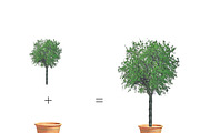 English Cottage Garden Pack, an Object Illustration by WeavaBird (Thumbnail 2 of 4)