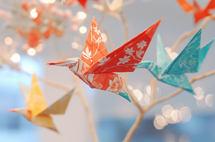 A close-up of colorful origami cranes hanging from a branch, with a soft bokeh, an Arts & Entertainment Photo by Textures & Backgrounds