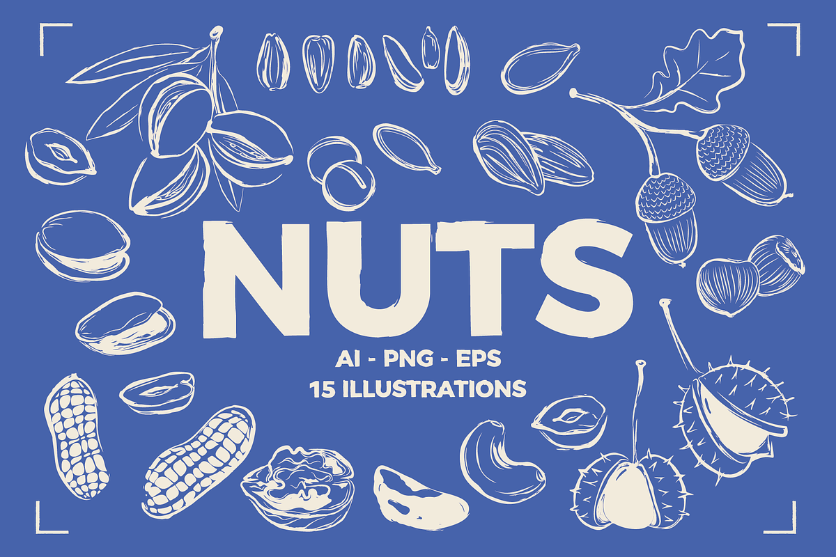 NUTS LINE ART SET (15+ elements), a Food Illustration by Bonfloret Studio (Photo 1 of 10)