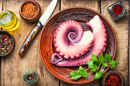 Fresh octopus tentacle, a Food & Drink Photo by MLunov MLunov