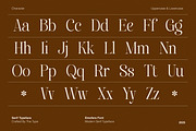 Emofera | Modern Serif Font, a Serif Font by The_Type (Thumbnail 5 of 12)
