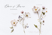 Pretty Wildflowers I Pressed Flowers, a Background Graphic by by creative paper (Thumbnail 2 of 14)