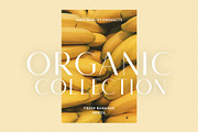 Monica - Classic & Elegant Sans, a Sans Serif Font by Mikhail Fukurou (Thumbnail 7 of 12)