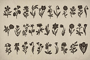 Midnight Garden flowers set, an Object Illustration by RaDavCrafts (Thumbnail 3 of 10)