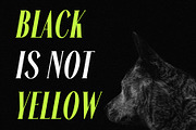 Alterosa - Italic serif font, a Serif Font by Almeera Std (Thumbnail 2 of 6)