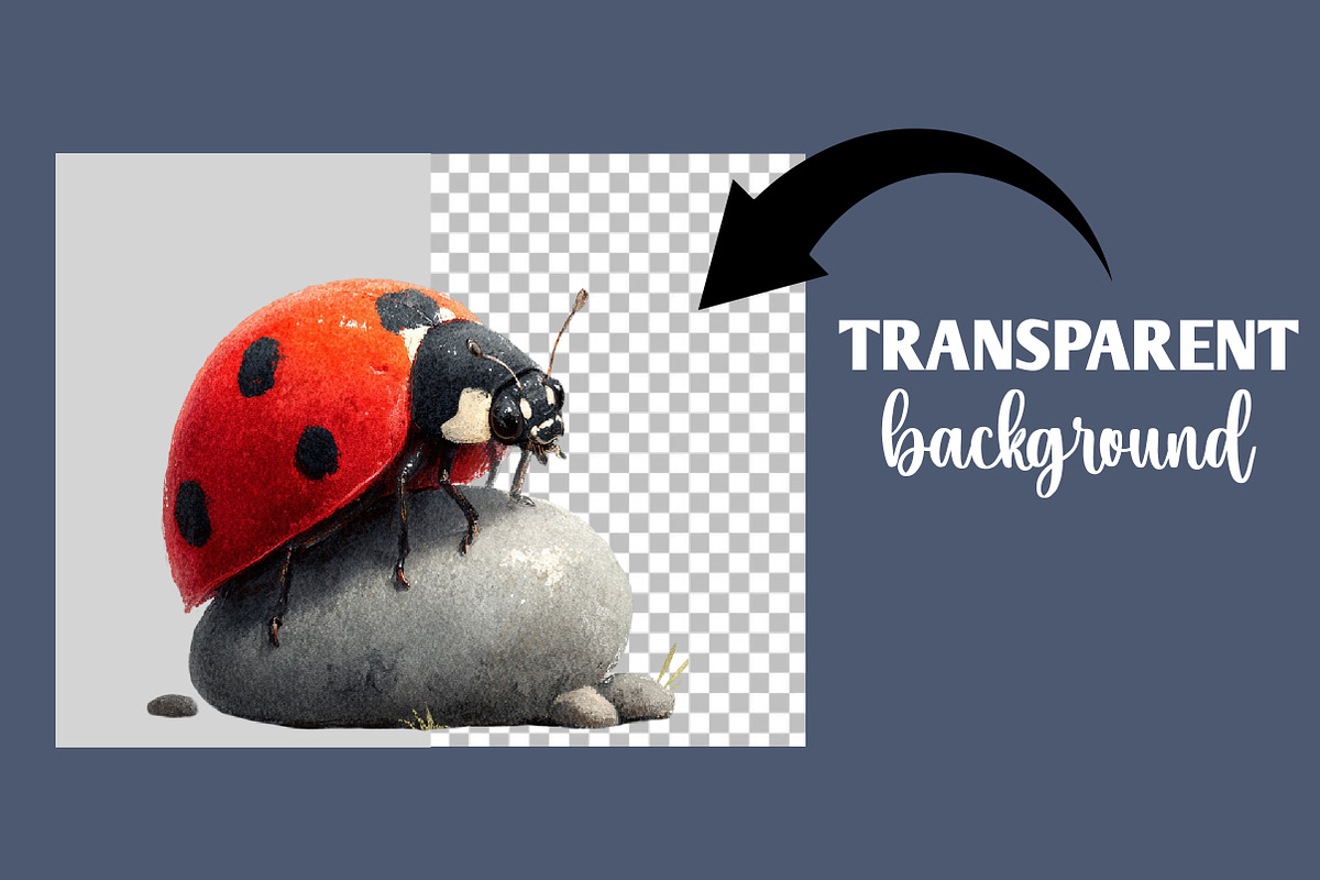 Watercolor Spring Ladybug Clipart, an Illustration by Designworld (Photo 6 of 6)