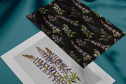 Lupine. Vintage botanical atlas, a Pattern Graphic by Antikva17 (Thumbnail 9 of 12)