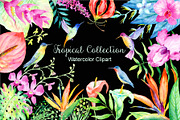 Watercolor Tropical Collection, an Illustration by Corner Croft (Thumbnail 1 of 6)