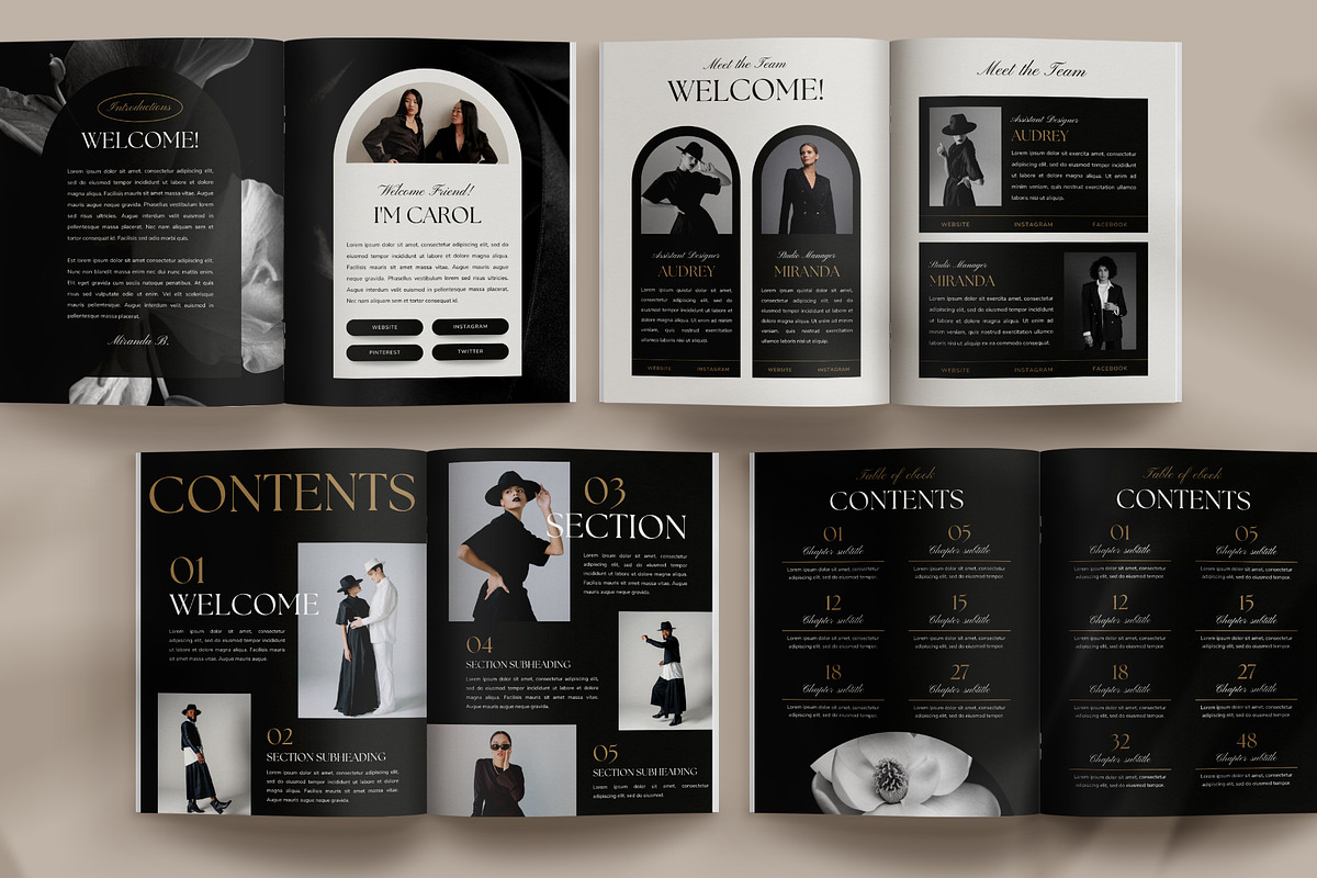 Business Coach Ebook Template CANVA, a Magazine Template by Studio Loire (Photo 3 of 10)