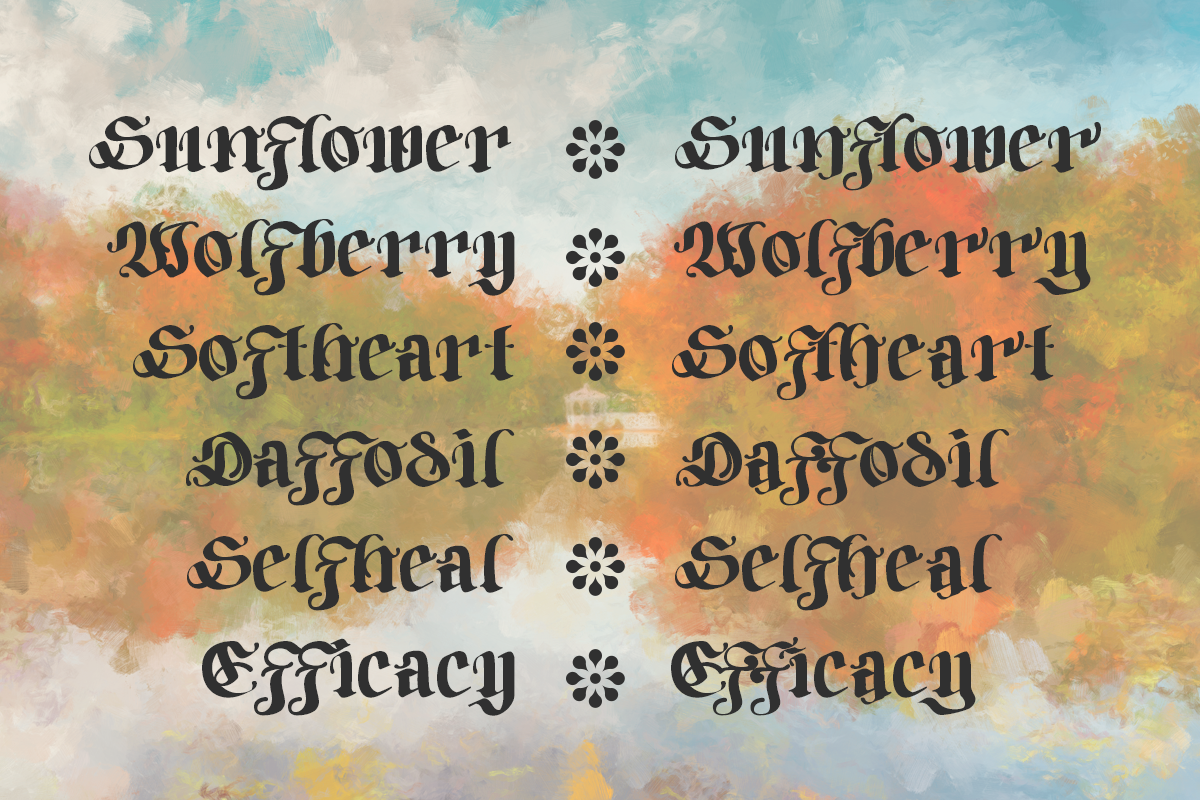 Bodywork - Modern Blackletter, a Blackletter Font by Dharmas Foundry (Photo 14 of 15)