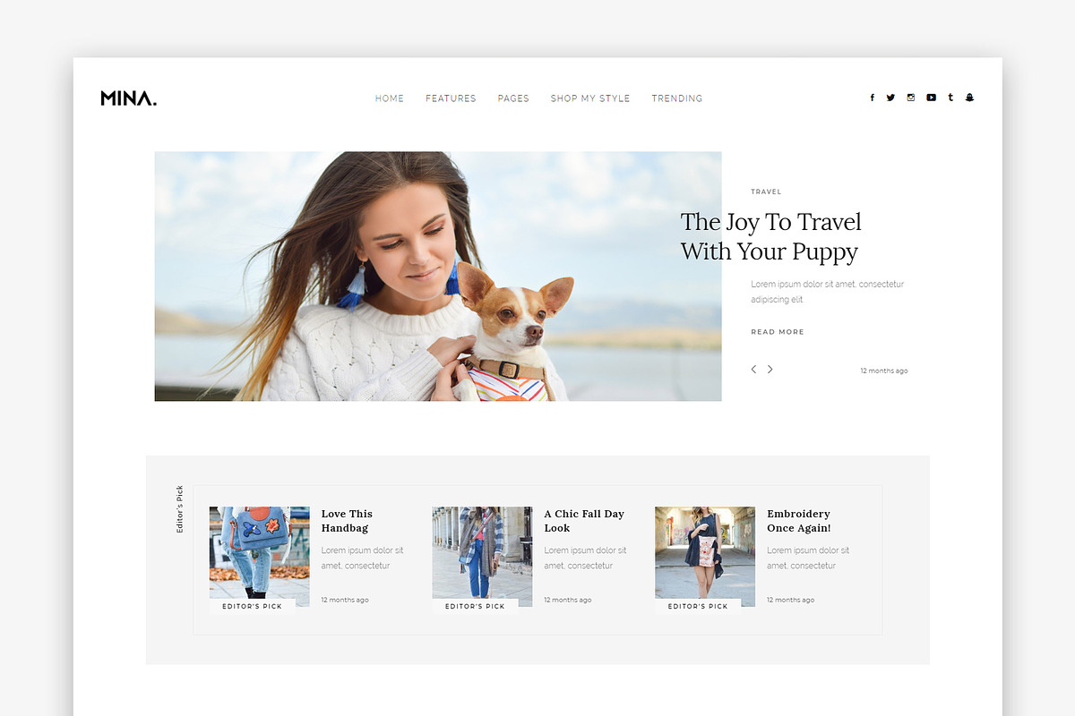 Mina - Minimalist WordPress Blog, a WordPress Template by PerfectlyThemed
