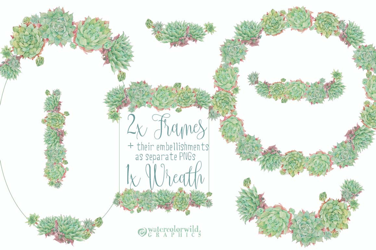 Succulents-single species package, a Work Illustration by watercolorwild.graphics (Photo 3 of 8)