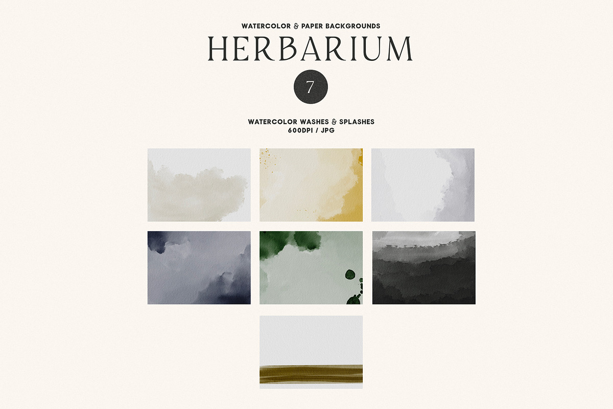 Herbarium: Pressed Dry Flowers vol.1, a Decorative Illustration by AnaPierceArt (Photo 5 of 12)