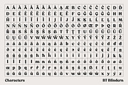 BT Blindern, a Serif Font by BadType (Thumbnail 7 of 9)