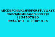 Nephelium Musa | Nice Font, a Serif Font by Scandy Font (Thumbnail 6 of 8)