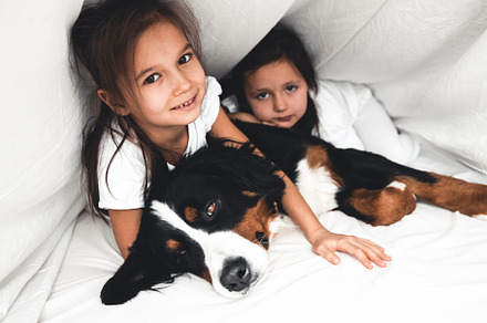 little girls in bed with dog Bernese