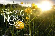 Carters, a Font by inumocca_type (Thumbnail 8 of 11)