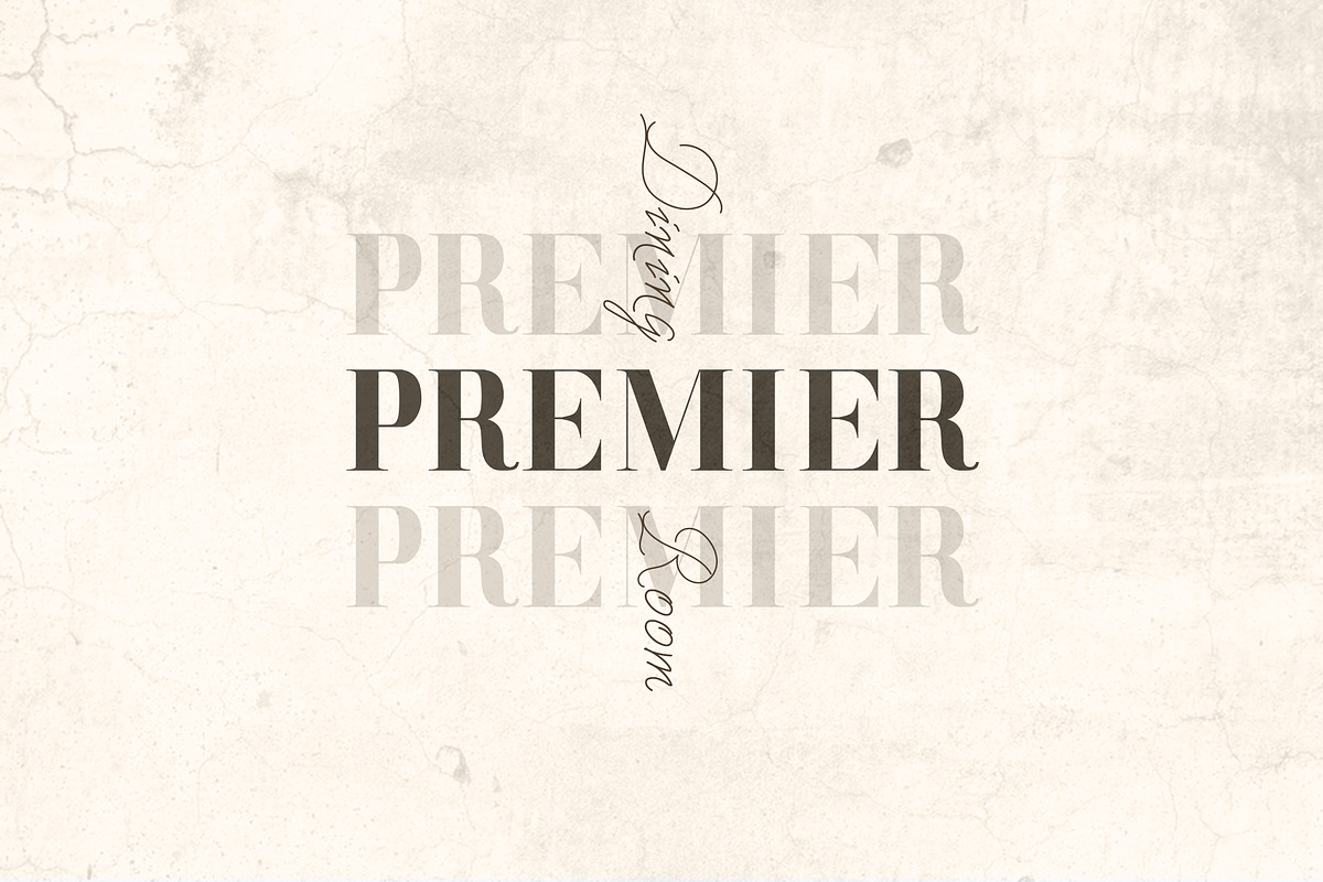 DAENERYS Serif and Script Font Duo preview 4