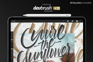 DevBrush 4.0 For Procreate