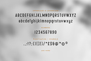Nevis Ridge - Condensed Display Font, a Sans Serif Font by Thistle Type (Thumbnail 4 of 9)