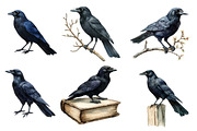 Vintage Ravens and Crows Clipart, an Illustration by Designworld (Thumbnail 2 of 6)