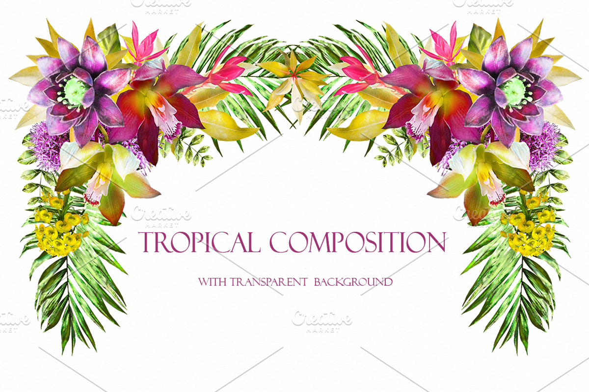 Tropical collection. Summer design., a Decorative Illustration by Lisima (Photo 17 of 19)