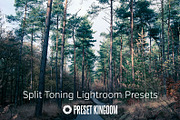 Split Toning Lightroom Presets, an Action Add-On by PresetKingdom.com (Thumbnail 5 of 5)