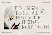 THE FRENCH KISS ROYAL TYPEFACE, a Serif Font by SilverStag Type Foundry (Thumbnail 10 of 23)