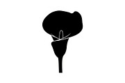 Black Lily Flower Vector Bundle, an Illustration by Designs_River (Thumbnail 12 of 51)