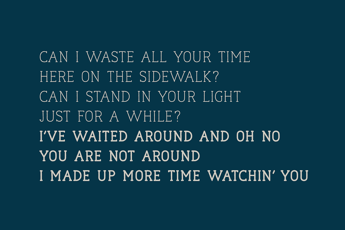 Naive Line Font Collection, a Serif Font by S&C Type (Photo 8 of 10)