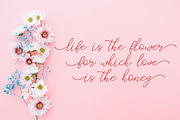 Catherine, a Script Font by Uloel Design (Thumbnail 5 of 6)