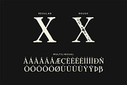 Scipio Typeface, a Serif Font by Tugcu Design Co. (Thumbnail 3 of 3)