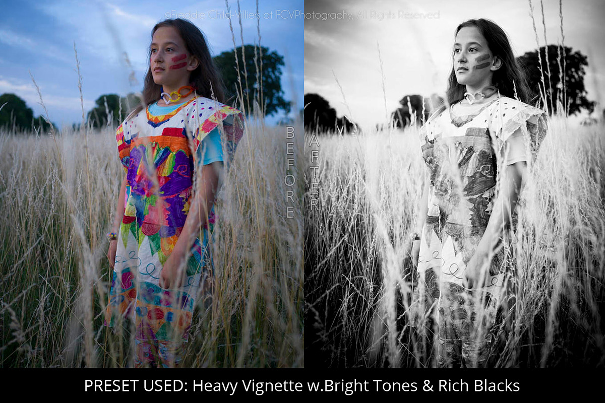 Pro Black & White Lightroom Presets preview 5