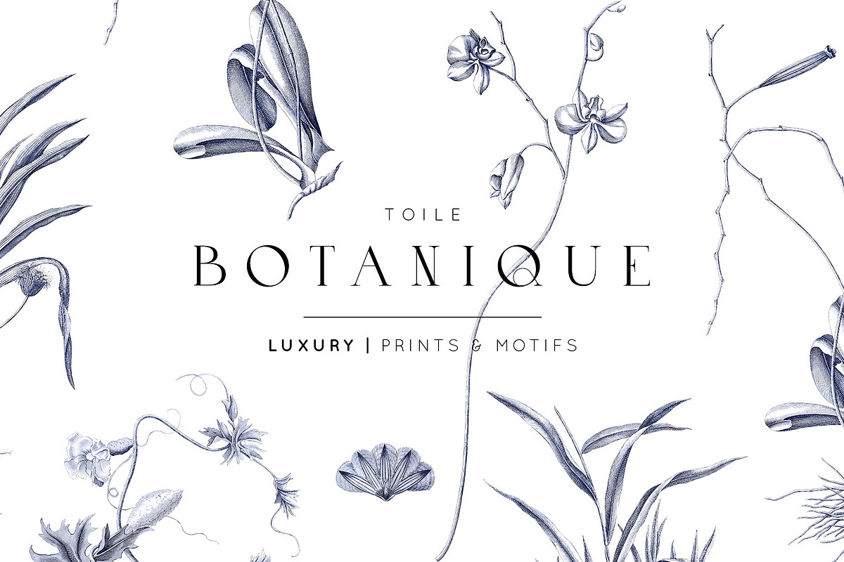 Toile Botanique, luxury Prints!, a Pattern Graphic by Pink Linen (Photo 1 of 12)