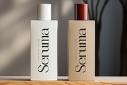 Gealova Modern Serif Font, a Serif Font by Storytype Studio (Thumbnail 8 of 15)