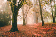 10 Stunning Matte Landscape Presets, a Preset Add-On by Timeless Presets (Thumbnail 7 of 13)