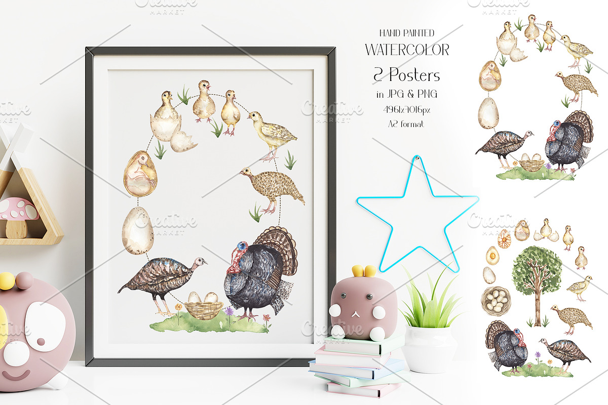 Life Cycle Watercolor Collection, an Education Illustration by MayaNavits (Photo 9 of 12)