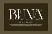 New Mick Serif Font, a Serif Font by Perfectype (Thumbnail 3 of 8)