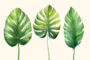 Tropical leaves patterns and element, a Decorative Illustration by irina.vaneeva (Thumbnail 6 of 11)