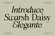 Swarsh Daisy - Elegant Serif Display, a Serif Font by Marvadesign (Thumbnail 2 of 8)