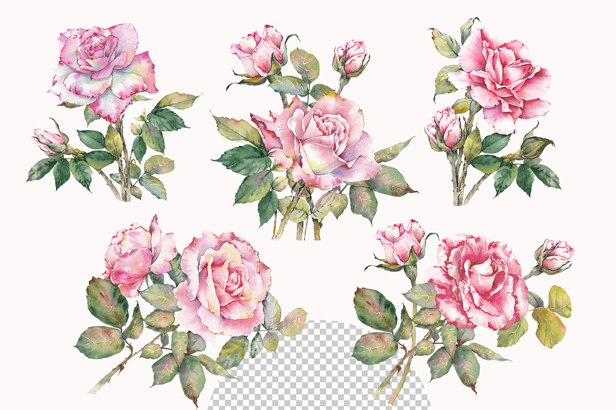 Watercolor Garden Rose Clipart, a Decorative Illustration by Jeanna Draw (Photo 3 of 11)