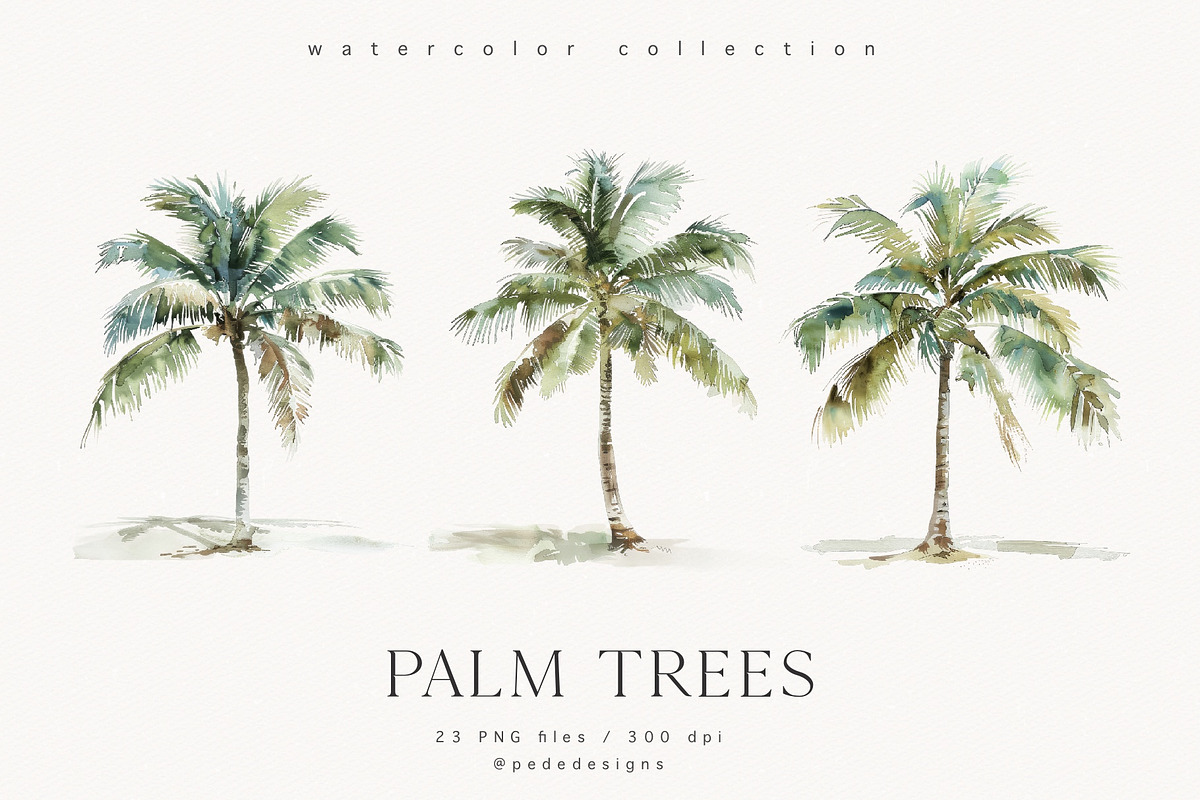 Palm Trees, a Decorative Illustration by PeDe Designs (Photo 4 of 9)