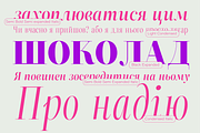 ZT Neue Ralewe Luxury Serif 90 Font, a Serif Font by zelow type (Thumbnail 5 of 24)