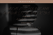 Raligosh Mendophelia Modern Font Duo, a Serif Font by Storytype Studio (Thumbnail 10 of 15)